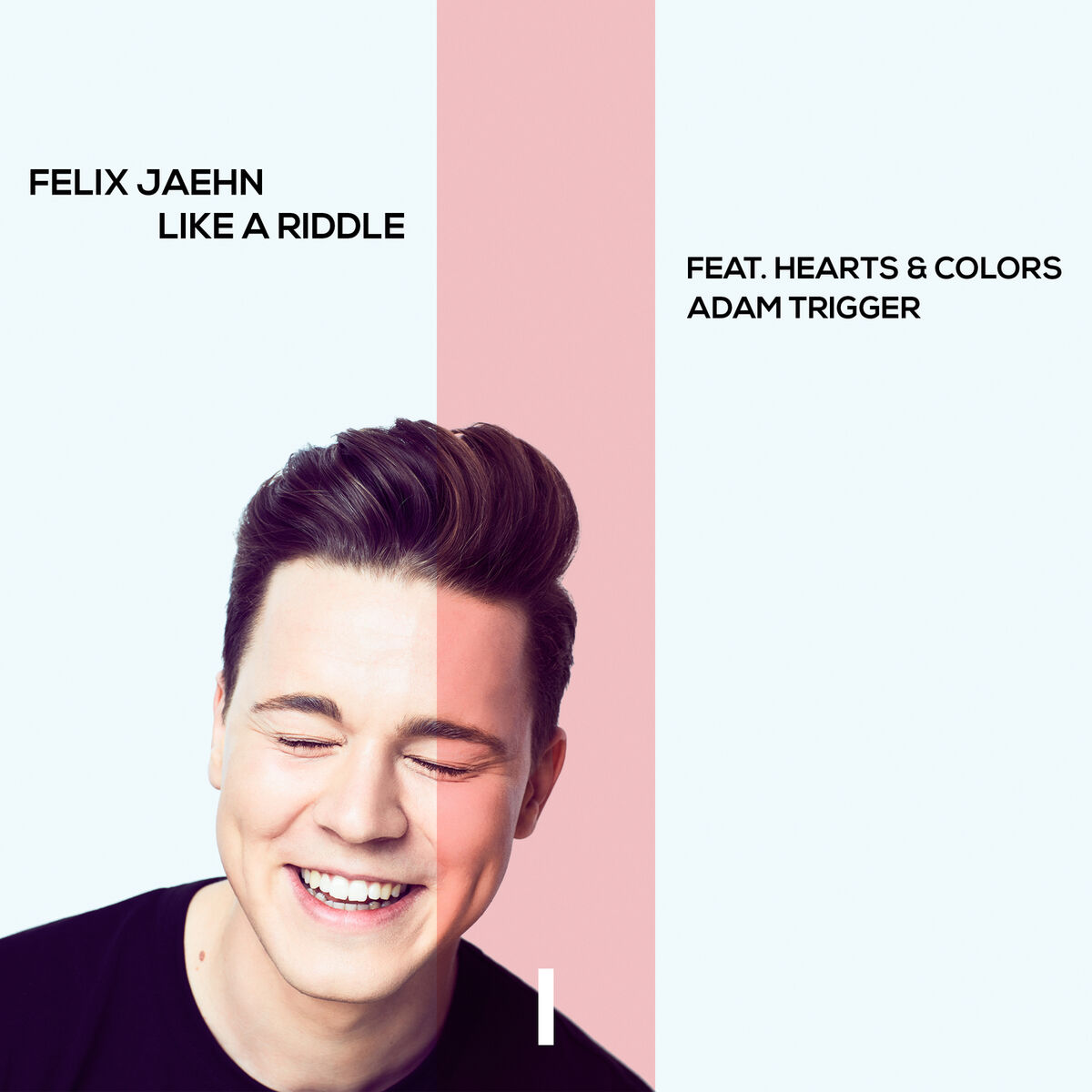 Album cover of Like A Riddle (Extended Mix)