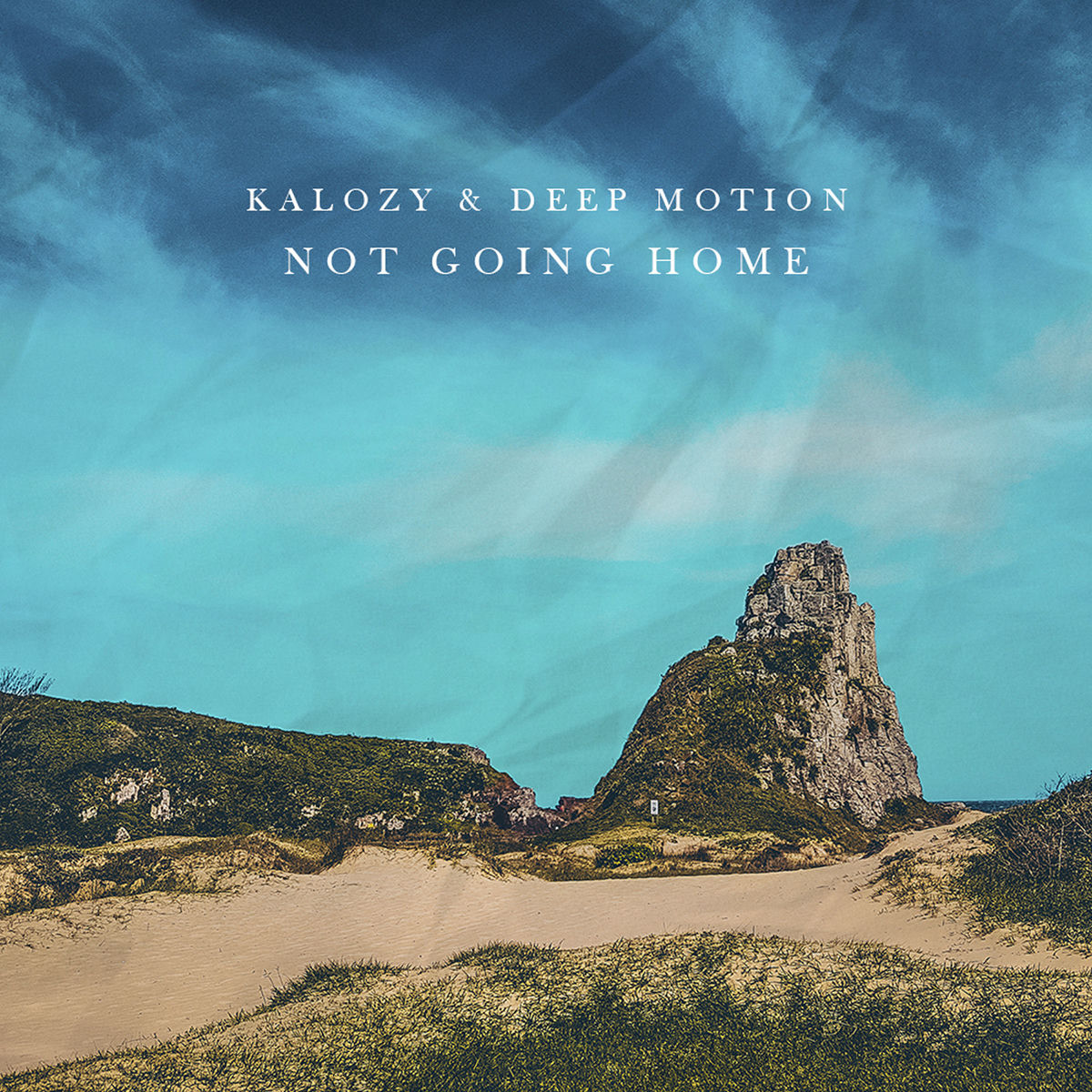 Album cover of Not Going Home