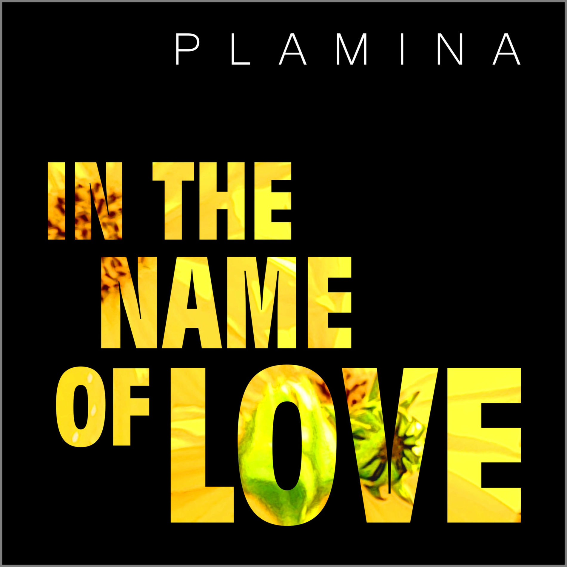 Album cover of In the Name of Love (Acoustic)