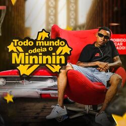 Cover of Todo Mundo Odeia o Mininin