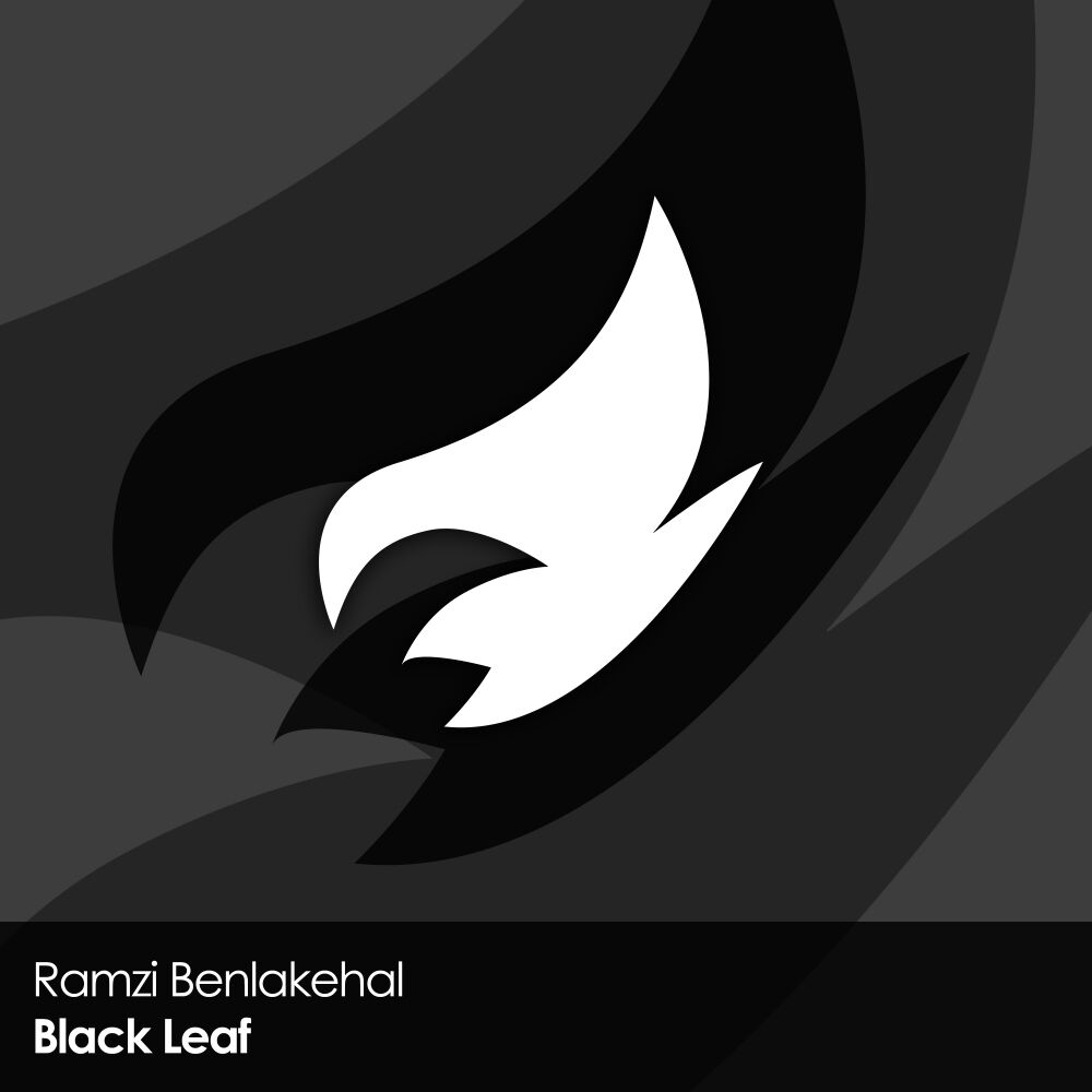 Picture of Black Leaf