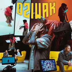 Dziwak album cover