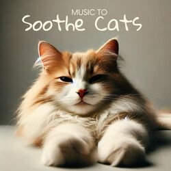 Cover of Music to Soothe Cats
