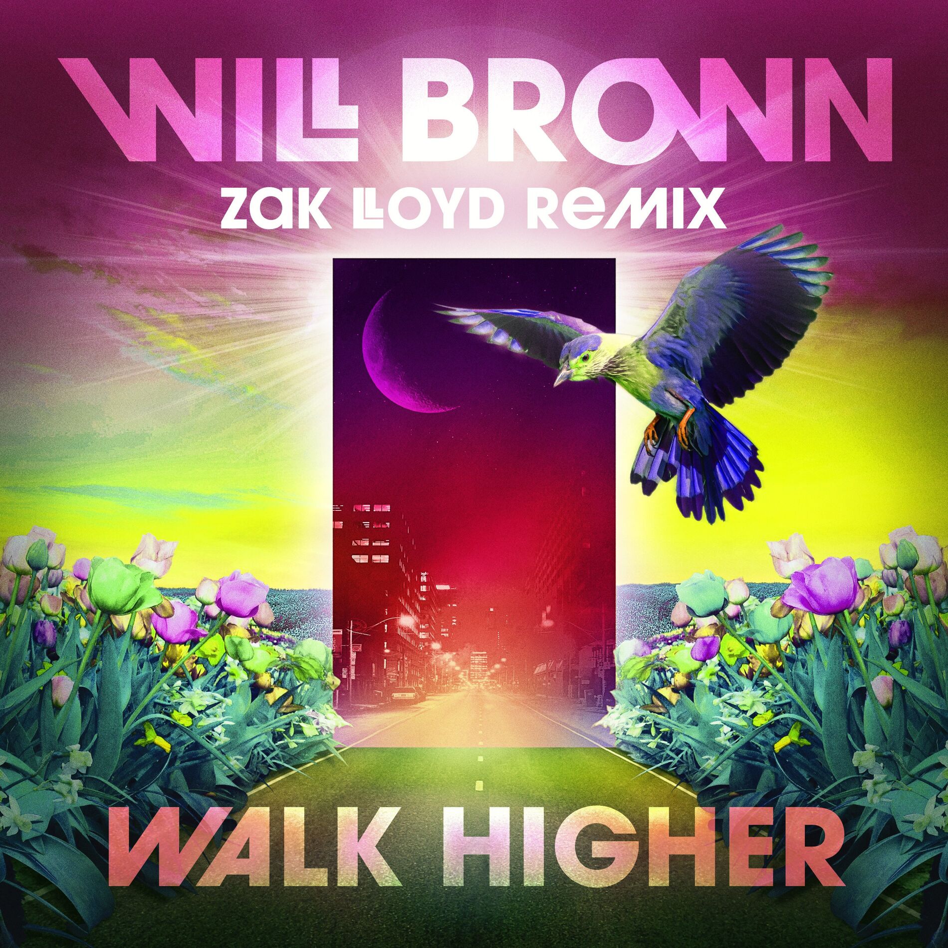 Album cover of Walk Higher (Zak Lloyd Remix)