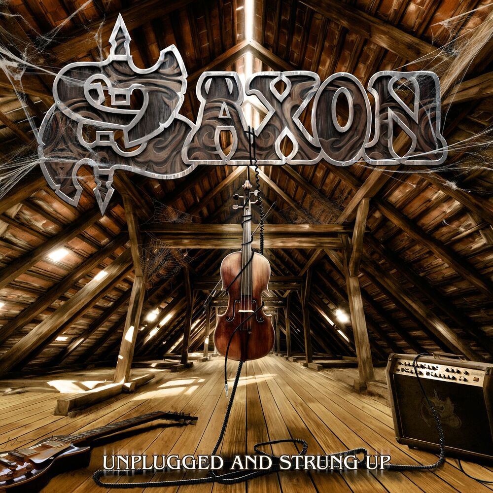Picture of Unplugged and Strung Up / Heavy Metal Thunder