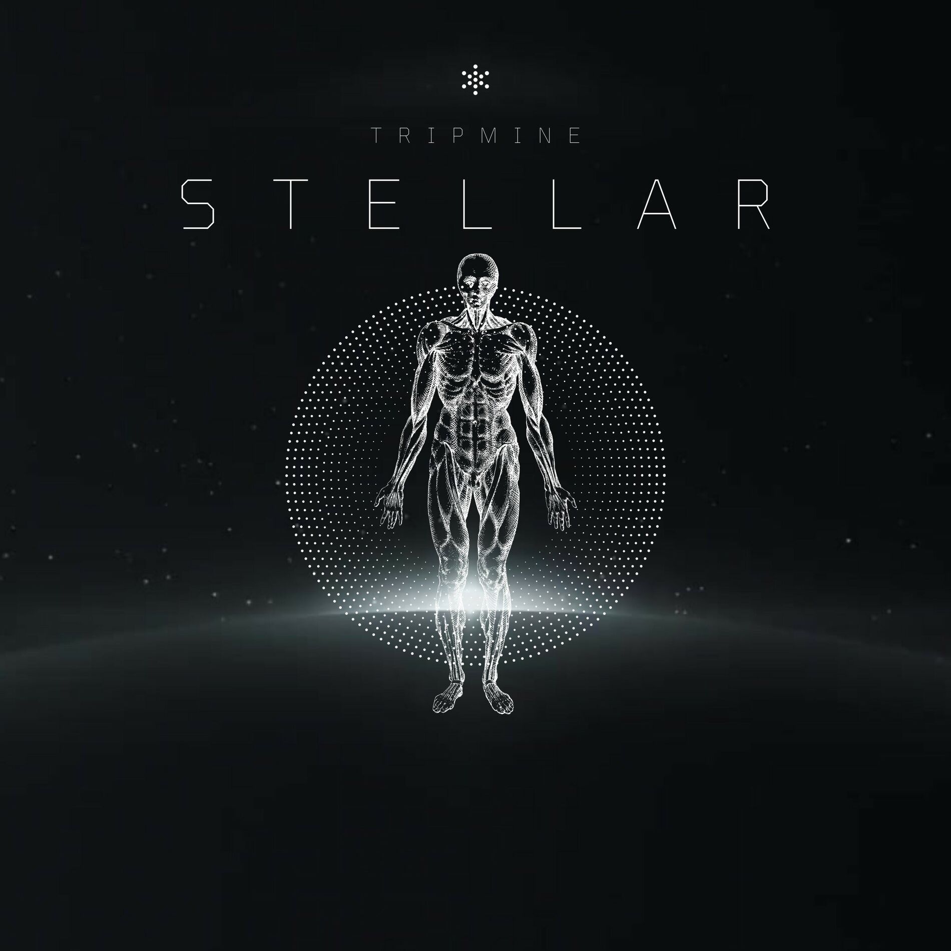 Album cover of Stellar