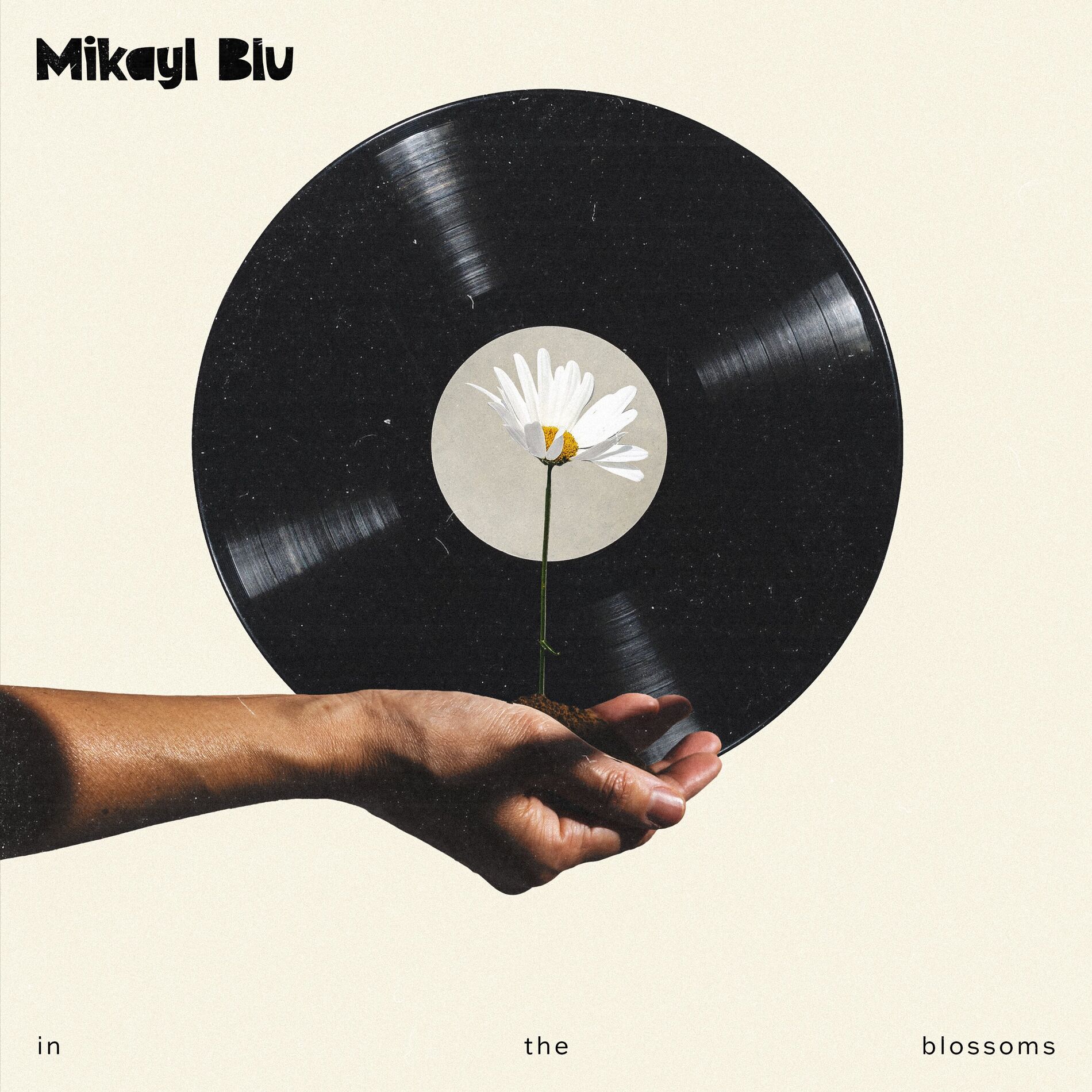 Album cover of in the blossoms