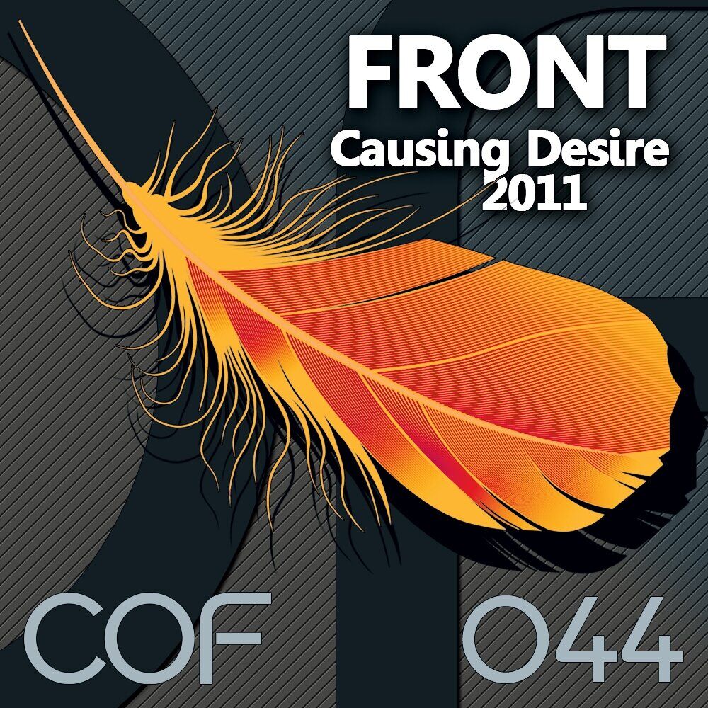Picture of Causing Desire 2011