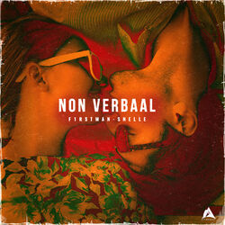 Cover of Non Verbaal