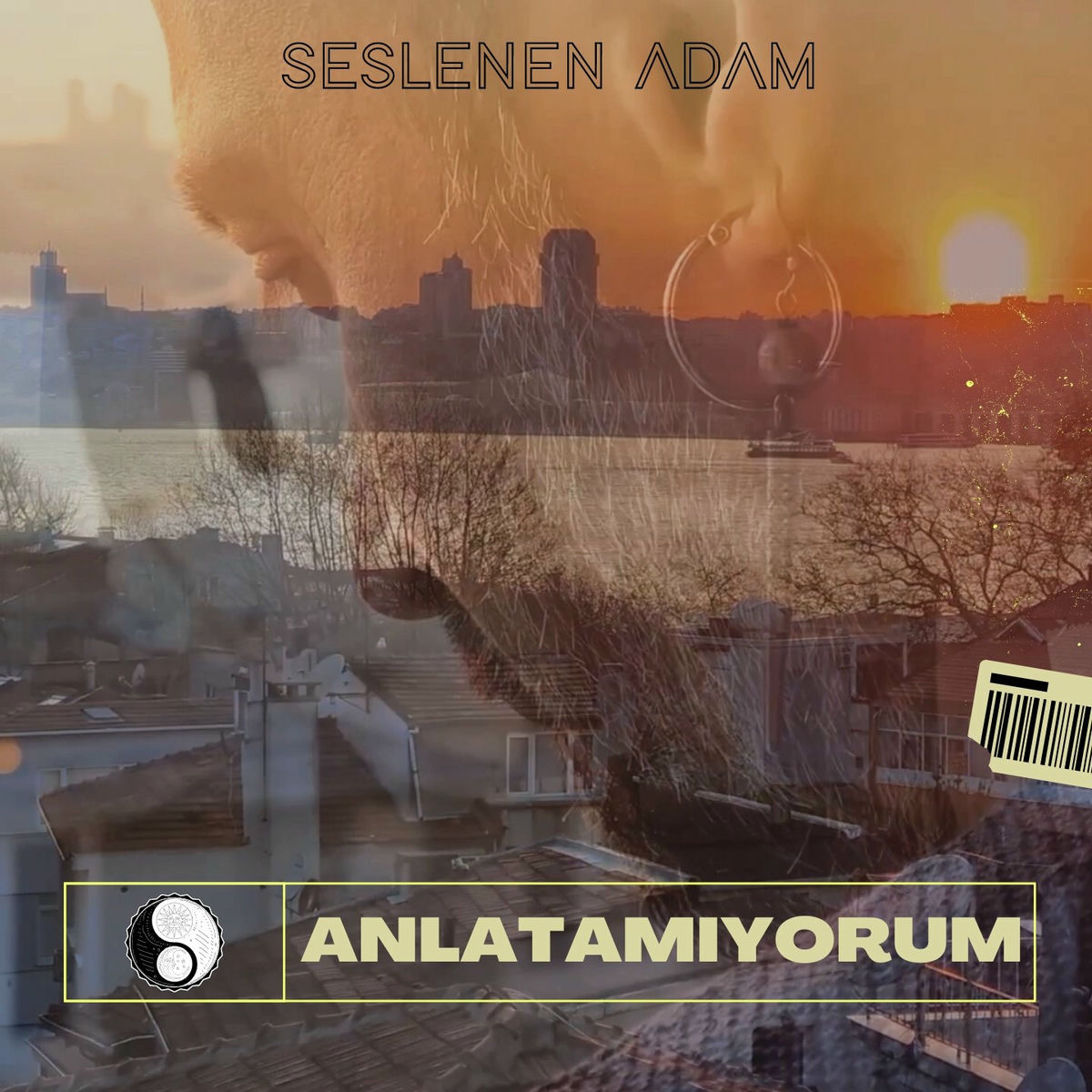 Album cover of Anlatamıyorum