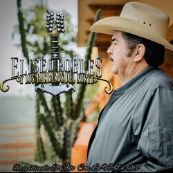 Cover of Despidiendo El Año Con La Voz De Oro