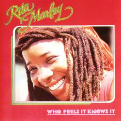 Cover of Who Feels It Knows It