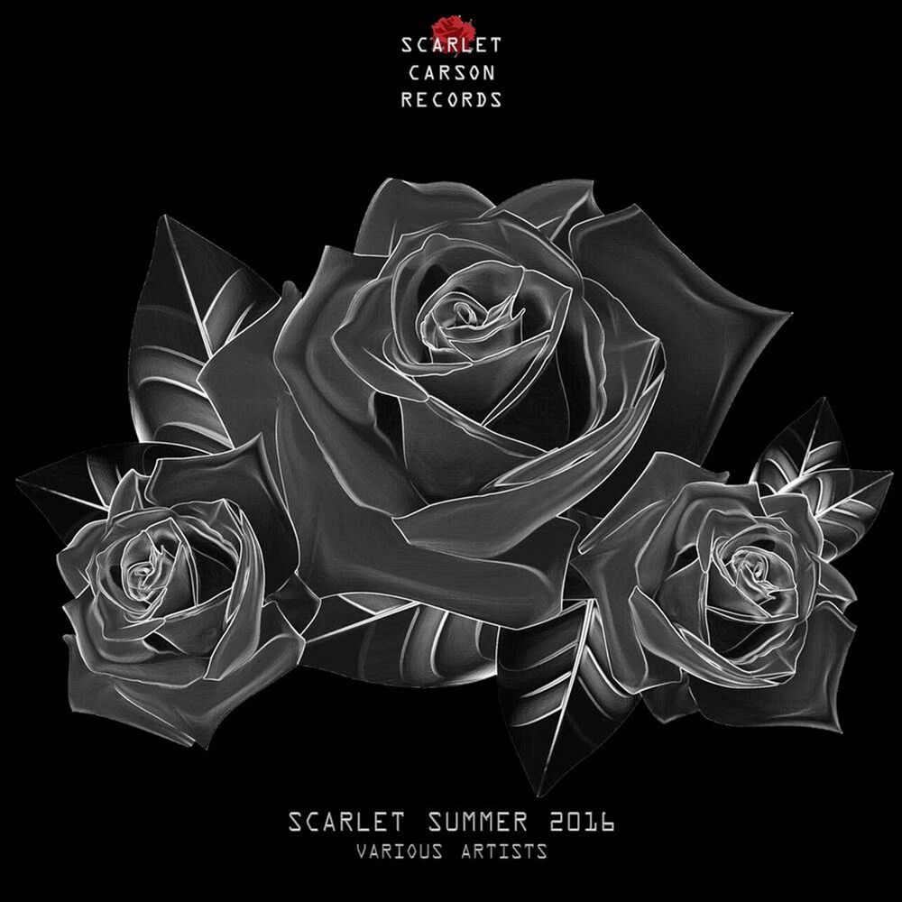 Picture of SCARLET SUMMER 2016