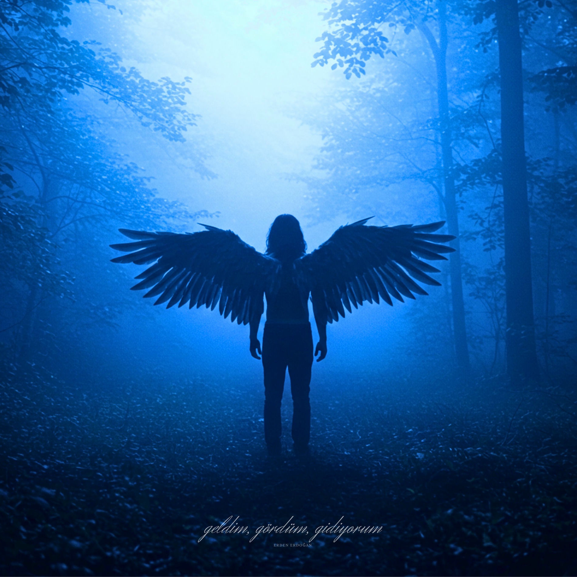 Album cover of Geldim, Gördüm, Gidiyorum