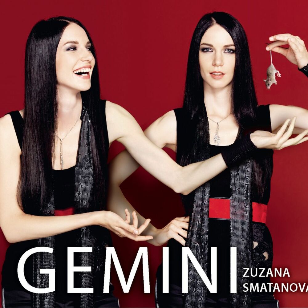 Picture of Gemini