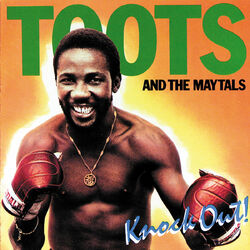 Cover of Knockout