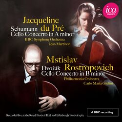 Cover of Schumann & Dvořák: Cello Concertos (Live)