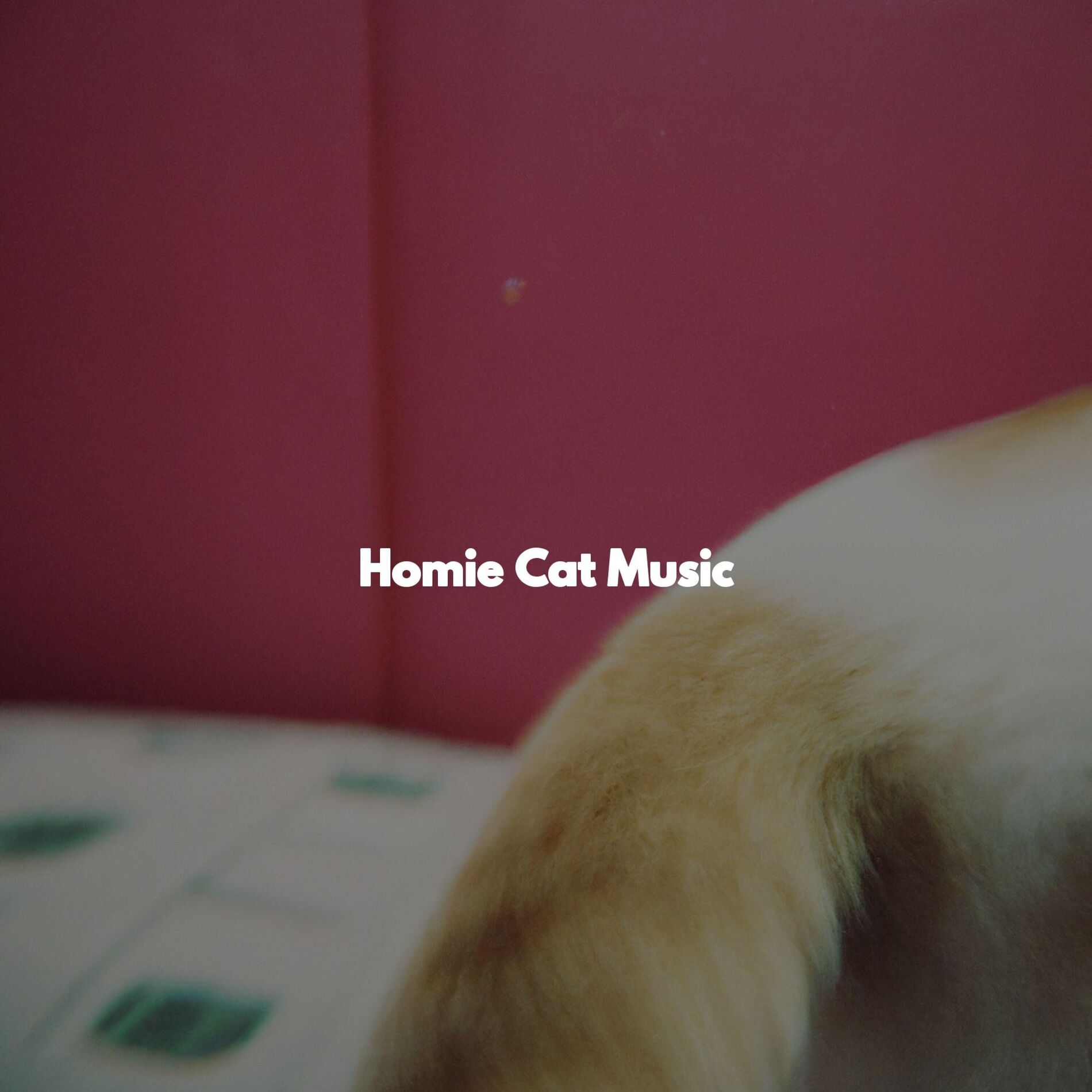 Album cover of Nice (Music)