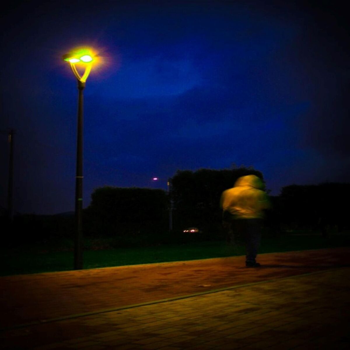 Album cover of show me // something