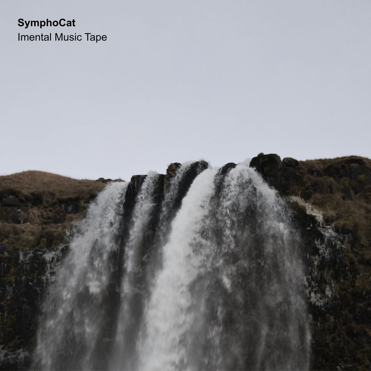 Album cover of Imental Music Tape