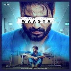 Cover of Waasta