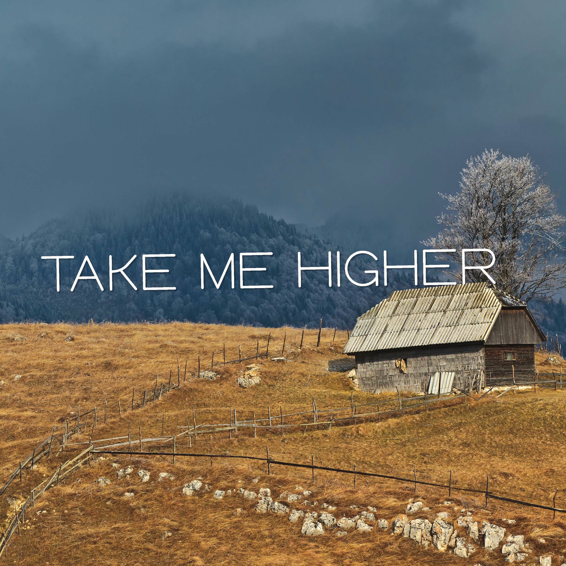 Album cover of Take Me Higher