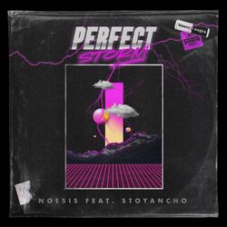 Cover of Perfect Storm