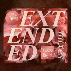 Cover of Colours (Extended Mix)