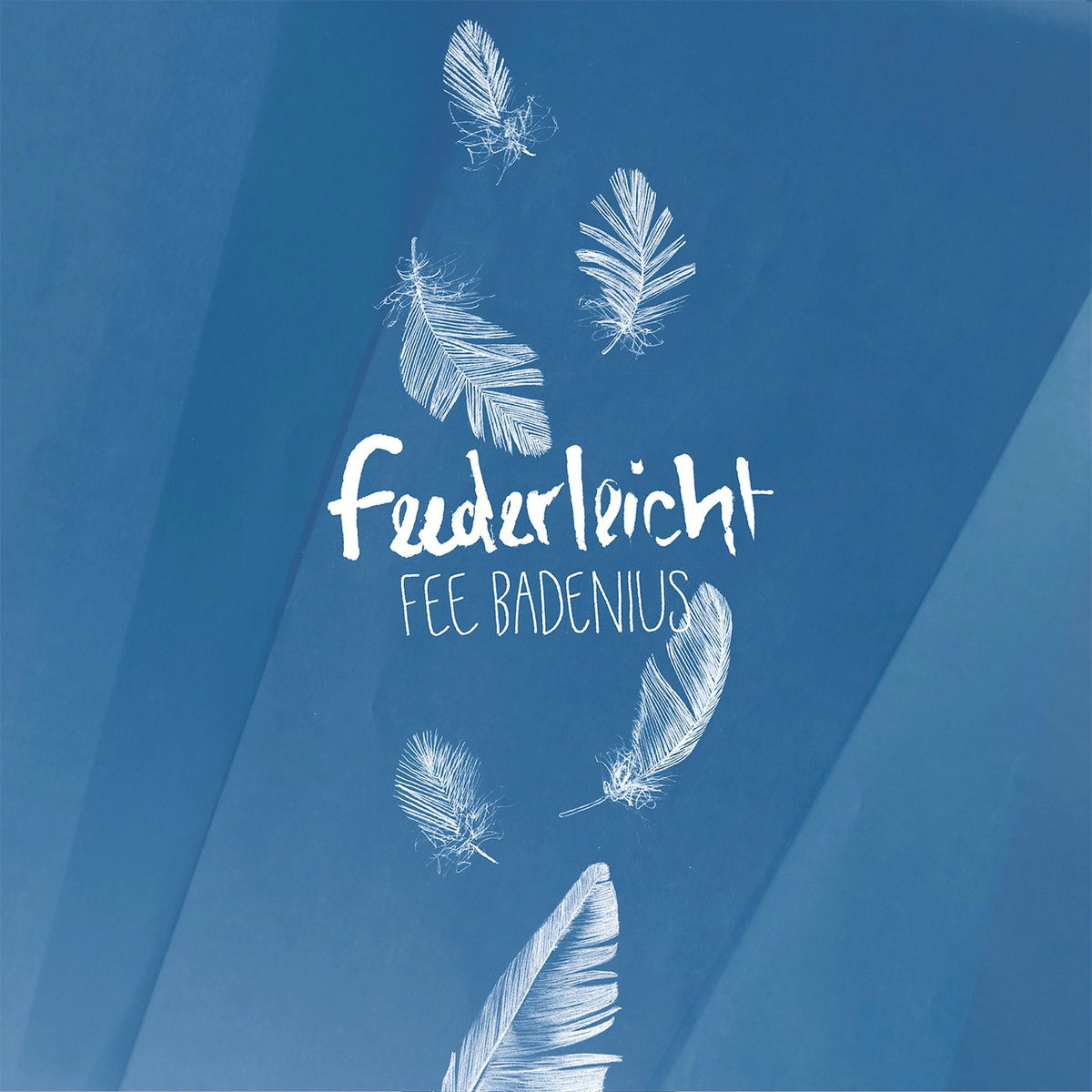 Album cover of Feederleicht