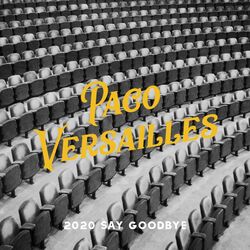Cover of 2020 Say Goodbye