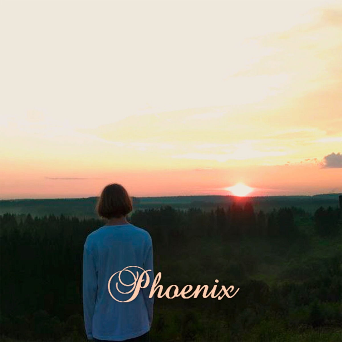 Album cover of Phoenix