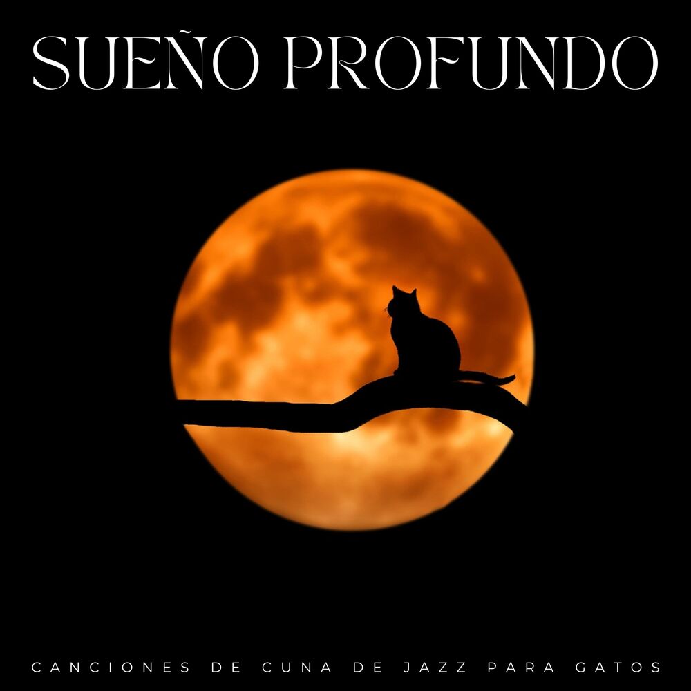 Picture of Sueño Profundo: Canciones De Cuna De Jazz Para Gatos