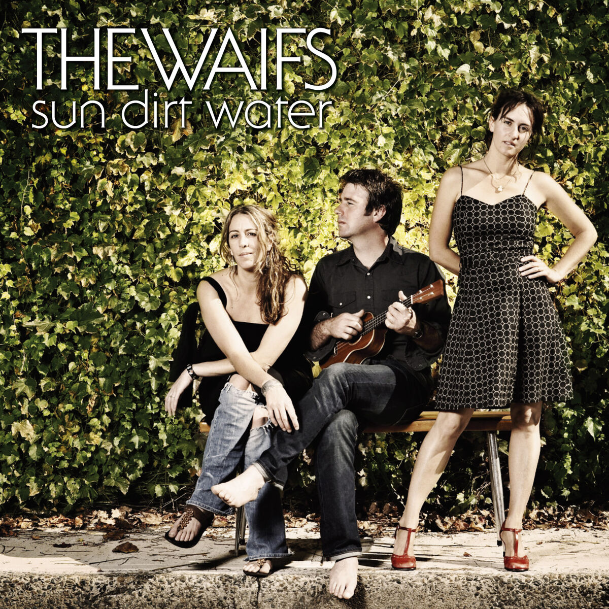 Album cover of Sun Dirt Water Single
