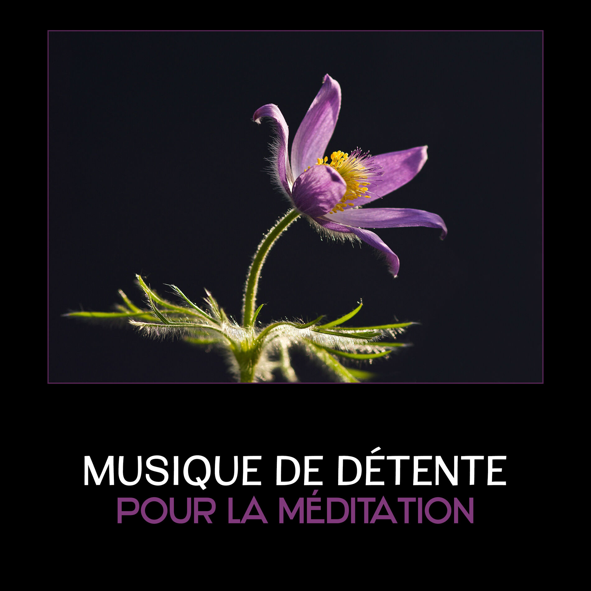 Album cover of Musique de détente pour la méditation (Sons d'instruments tibétains, Mantras de méditation, Thérapie de guérison reiki)