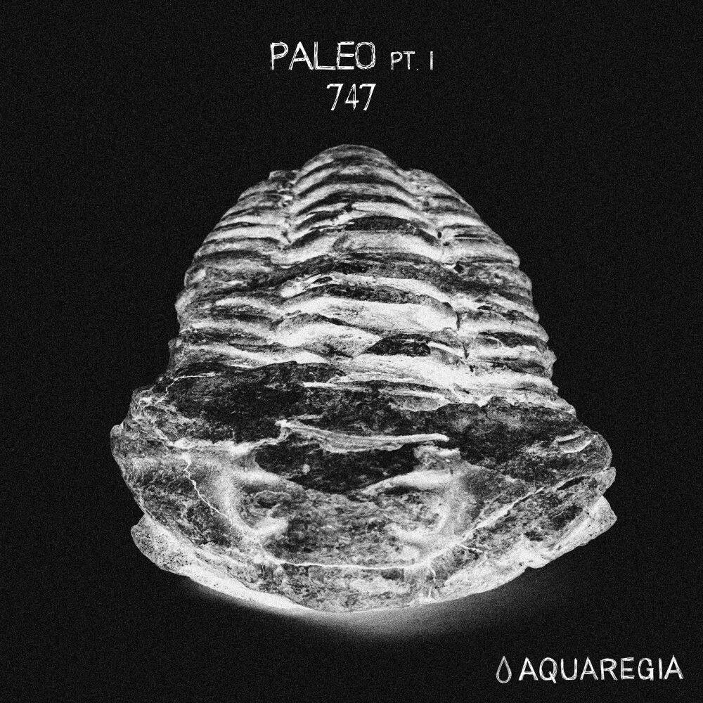 Picture of Paleo, Pt. 1