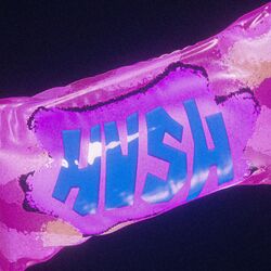 Cover of HUSH