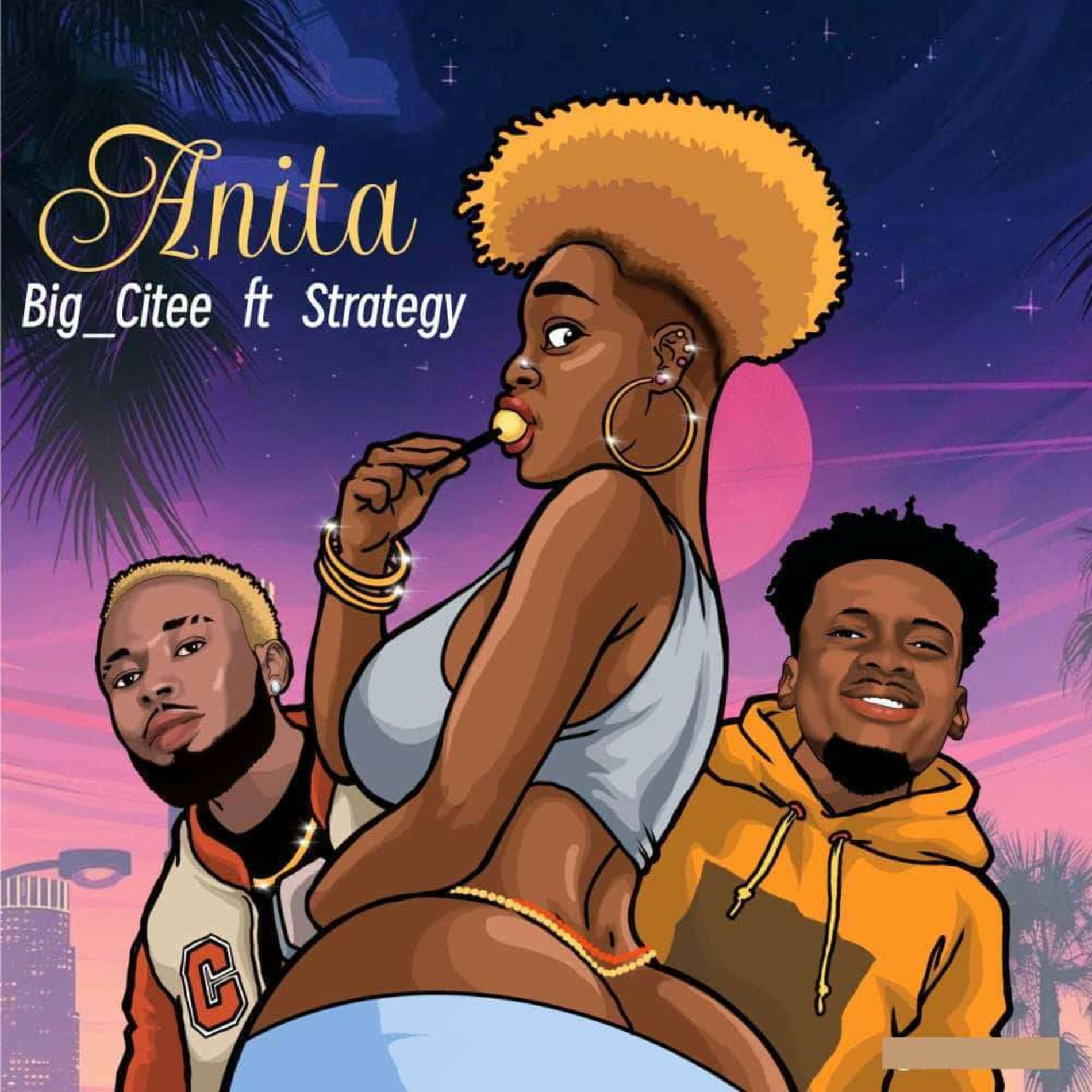 Album cover of Anita (feat. Strategy)