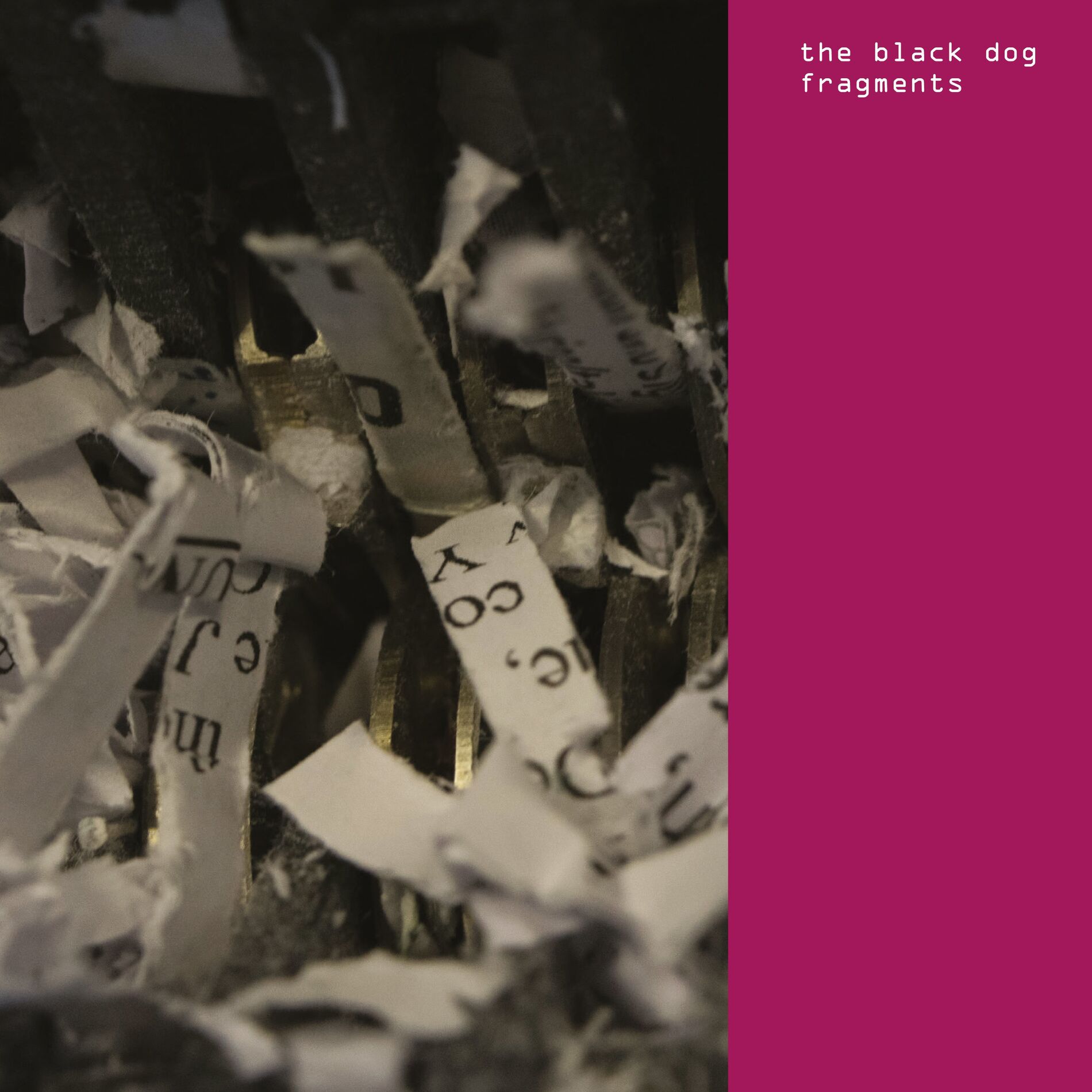 Album cover of Fragments