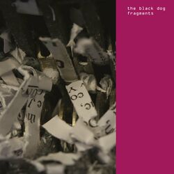 Cover of Fragments