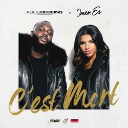 Cover of C'est mort