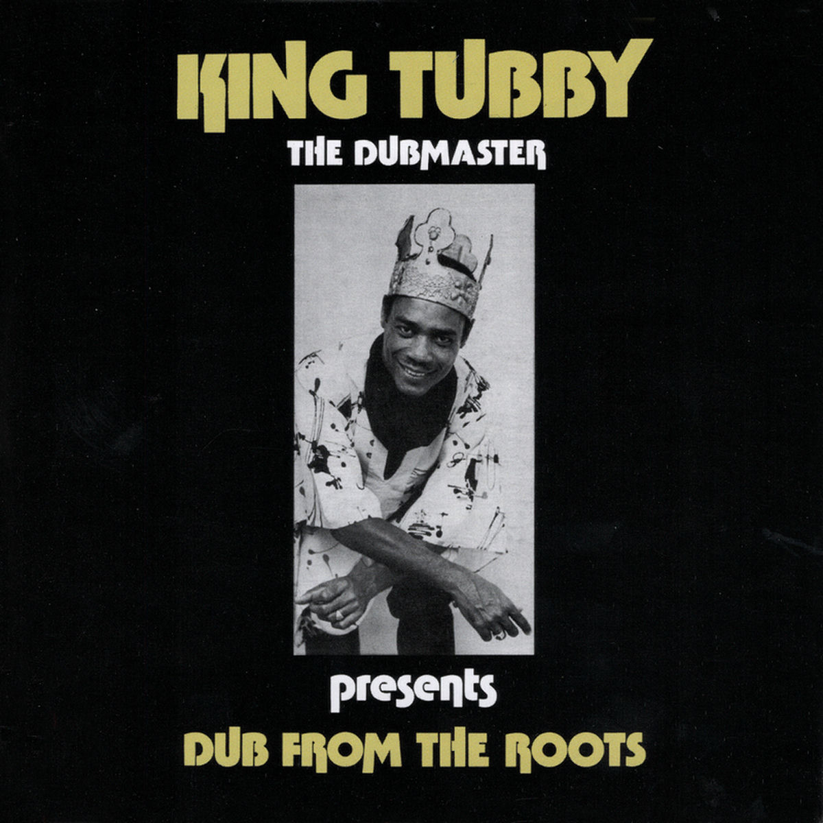Album cover of Dub From The Roots