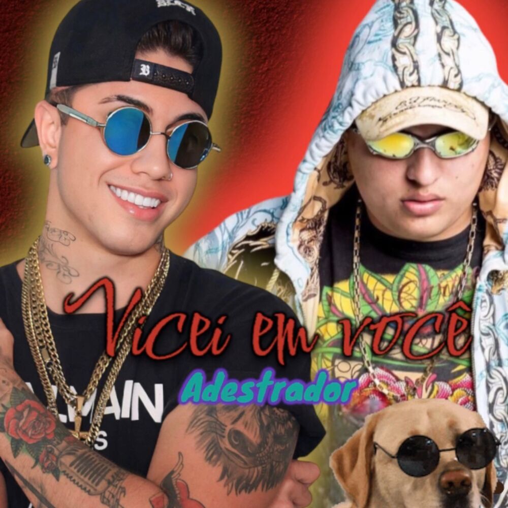 Picture of Viciei em Você / Adestrador