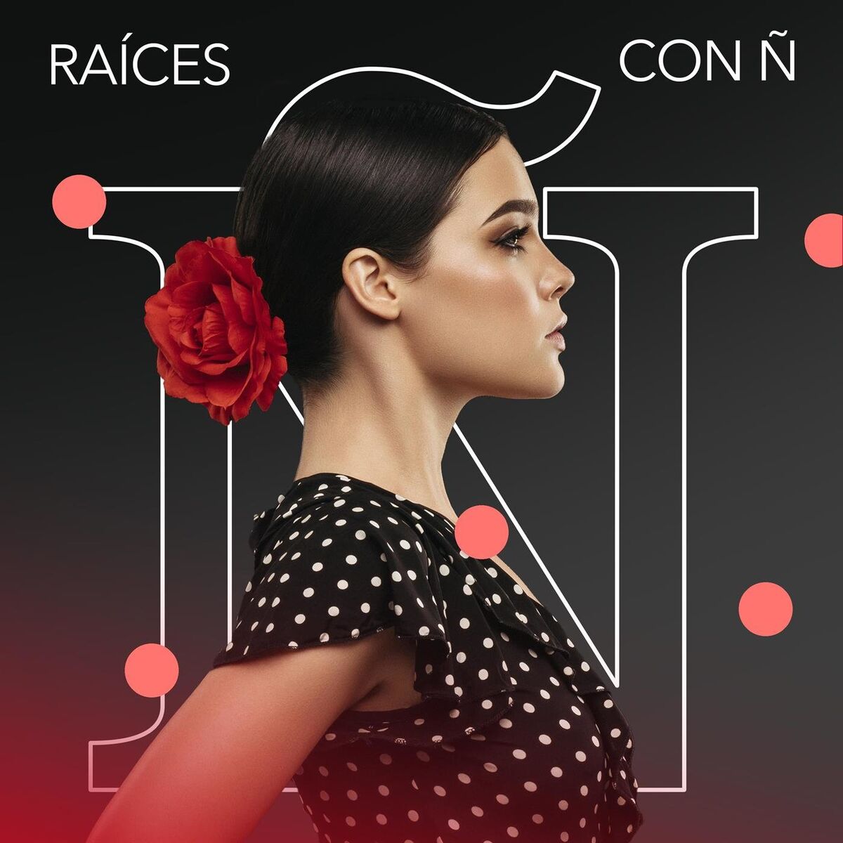 Album cover of Raíces Con Ñ