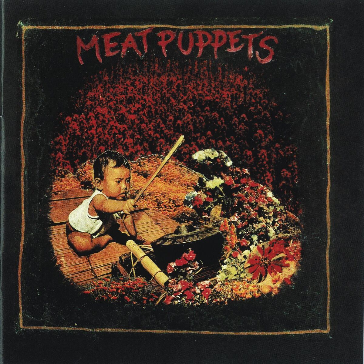 Album cover of Meat Puppets