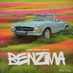 Cover of Benzima