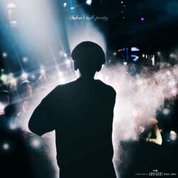 Cover of I don't talk pretty