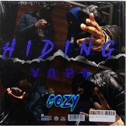 Cover of Hiding