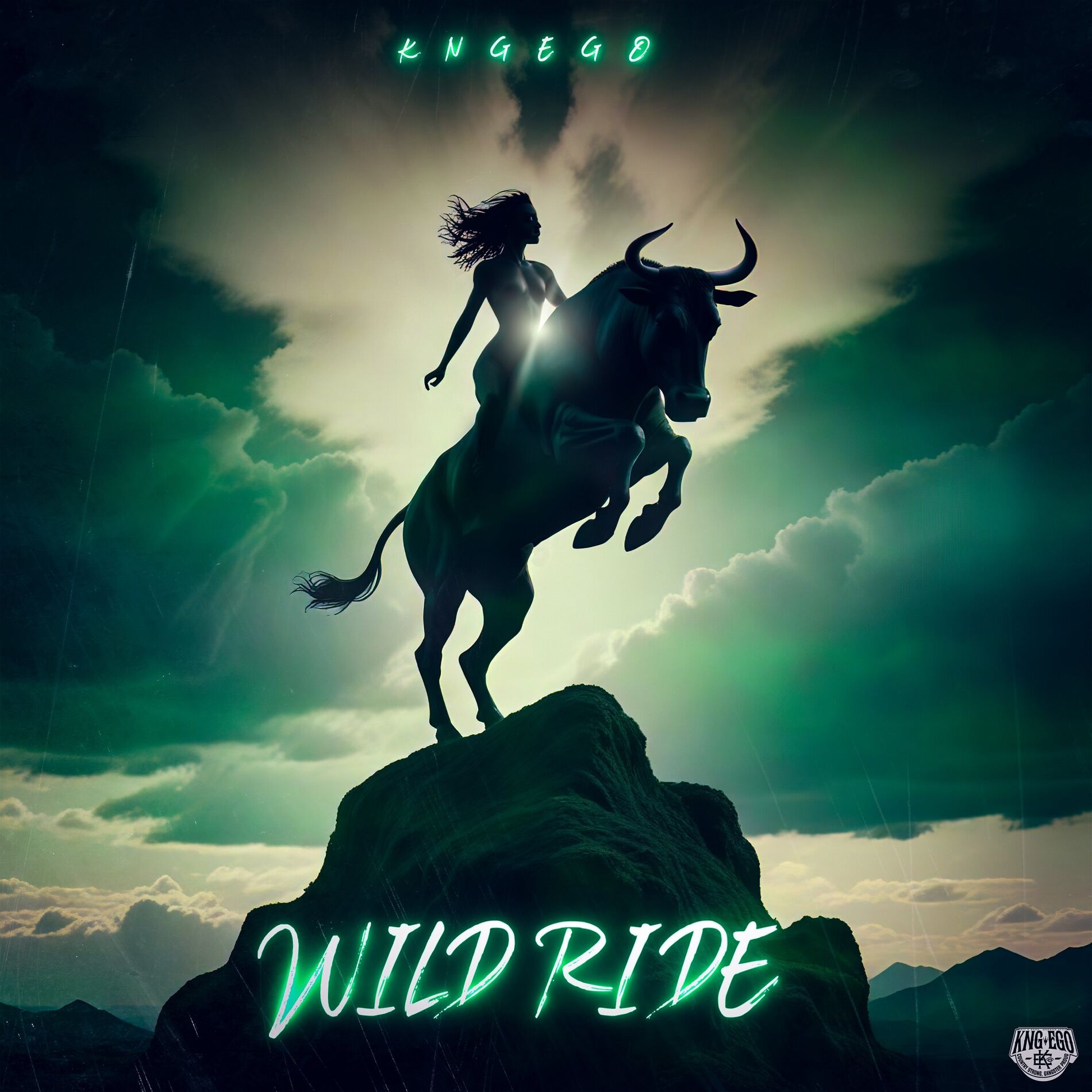 Album cover of Wild Ride