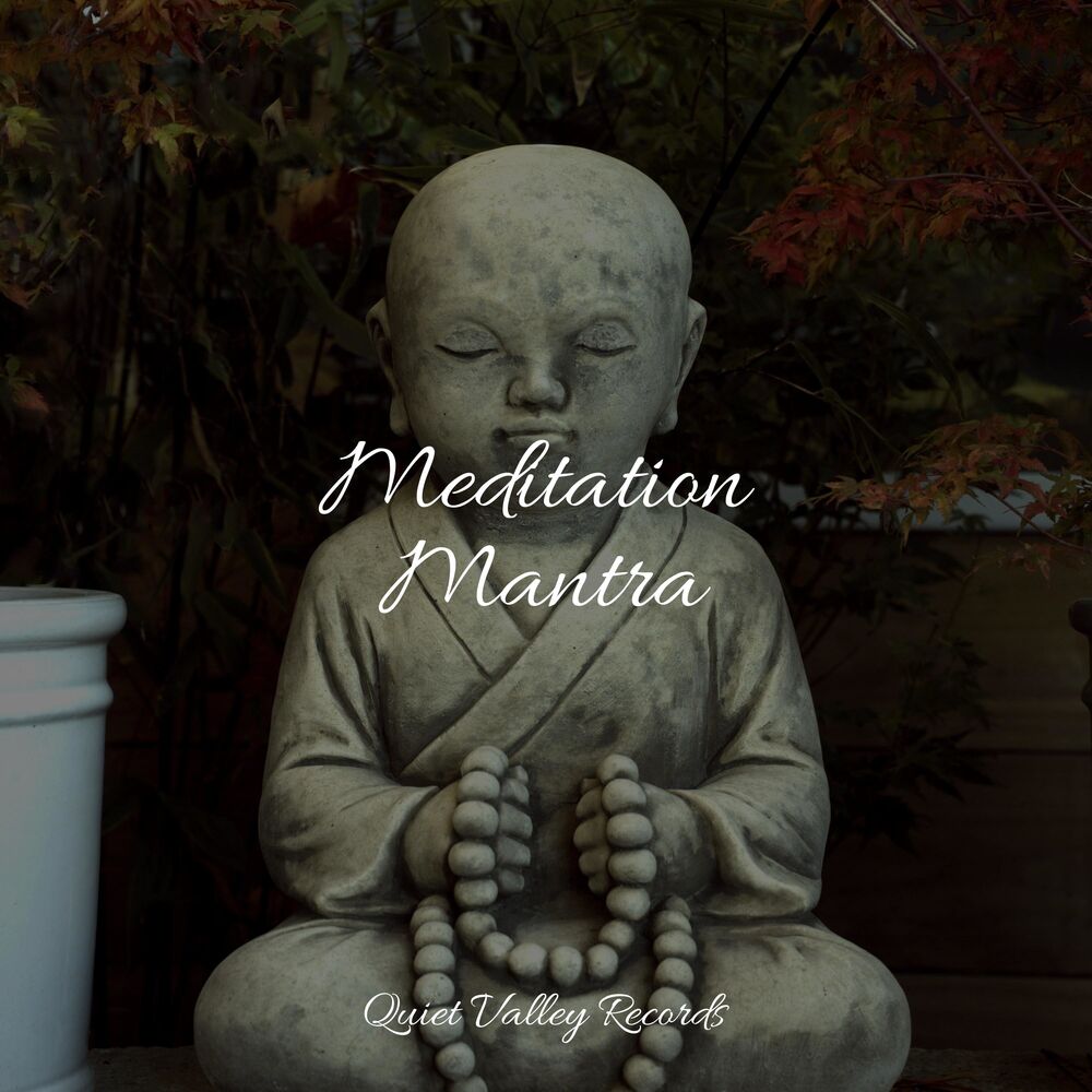 Picture of Meditation Mantra