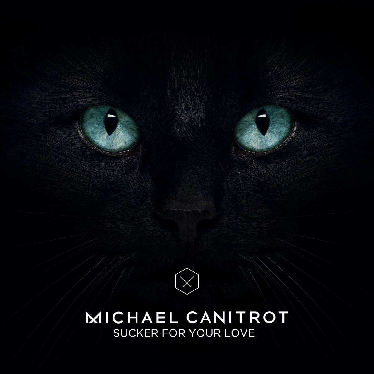 Album cover of Sucker for Your Love